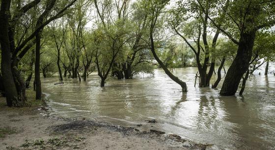 Jön a víz, árad a Duna - fotókon az árhullám