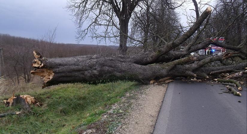 Szélviharra és jelentős mennyiségű esőre figyelmeztet a meteorológiai szolgálat