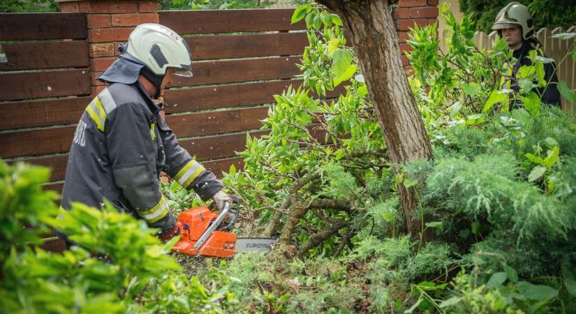 Láncfűrészre és légzőkészülékre is szükségük volt a hajdú-bihari tűzoltóknak