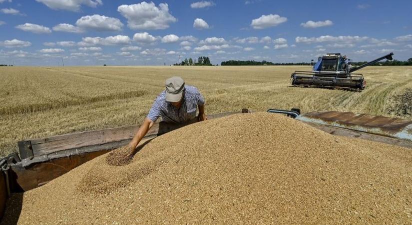 Hatalmas üzlet az oroszoknak az ellopott ukrán gabona