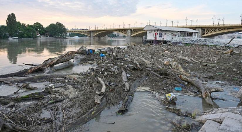 Gyűjtés indul a védekezés támogatására