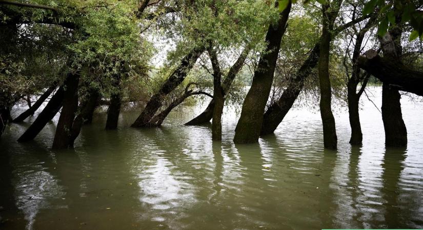 Deutsch Tamás: Összefogással úrrá leszünk az árvízen