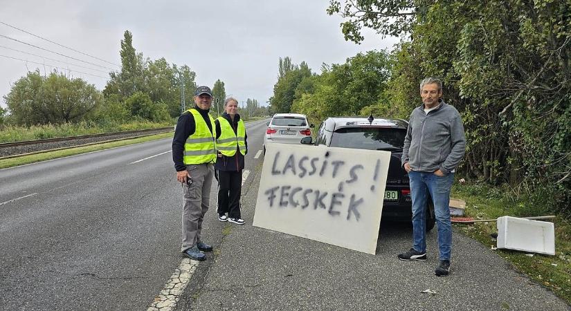 Tömeges fecskehalál a Balatonnál, összefognak az állatvédők