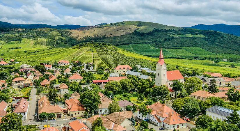 Bor, mámor, Tállya – A Tokaj-hegyaljai borvidék lankáin