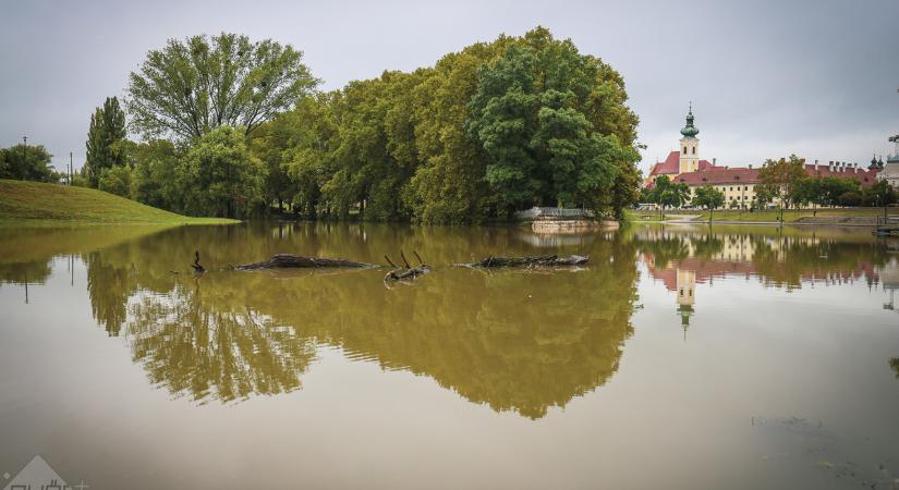 Lassan a víz lesz az úr: fotókon a győri áradás!