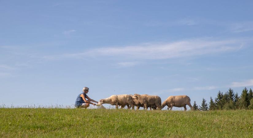 Terítéken az uniós gazdák helyzete