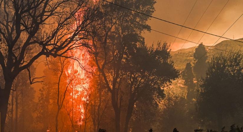 Súlyos erdőtűz pusztít Portugáliában