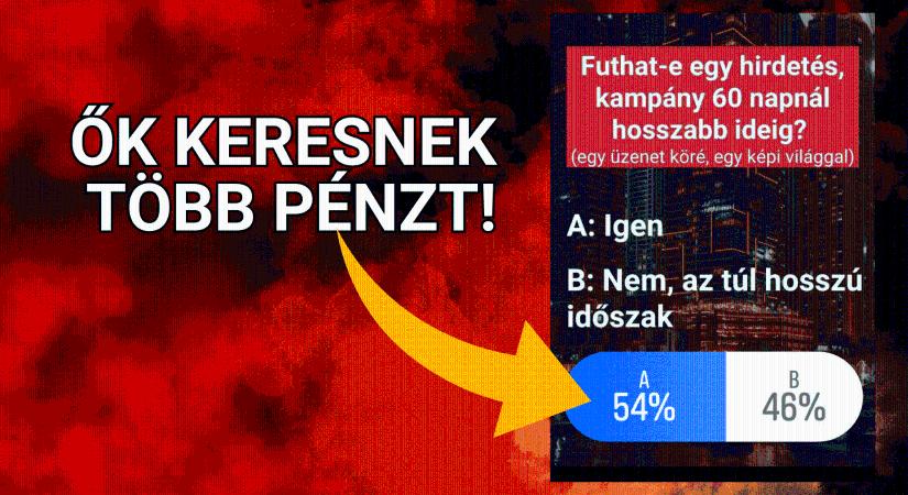 60 napig is futhat egy hirdetés? Nem őrültség! Üzleti feladványok 14. rész