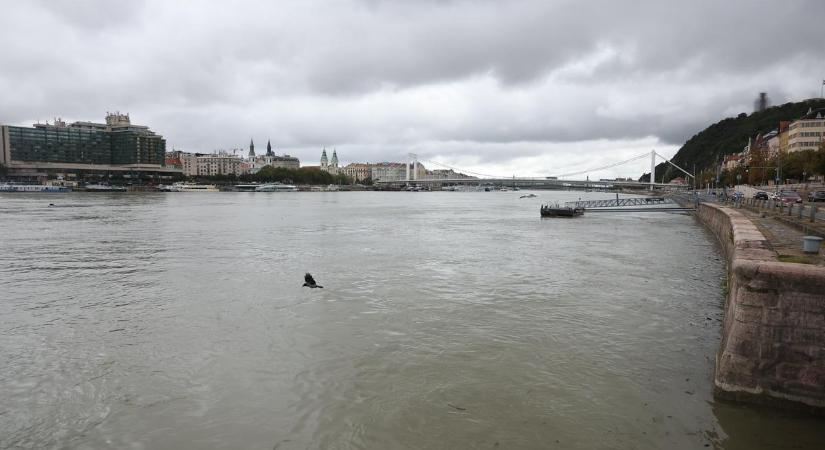 Árvíz: Lezárták a Margitszigetet, és a rakpartot, Kisoroszi több mint egy hétre el lesz zárva a külvilágtól - mutatjuk a részleteket