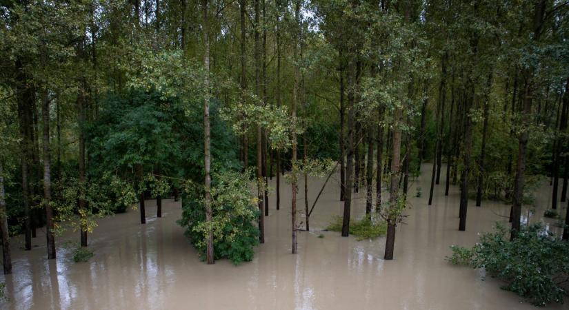 A Szigetközbe lassan megérkezik az árvíz: így áll ott most a védekezés