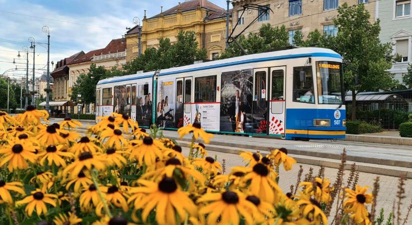 yoUDay: sűrűbben közlekedik az 1-es villamos és két buszjárat