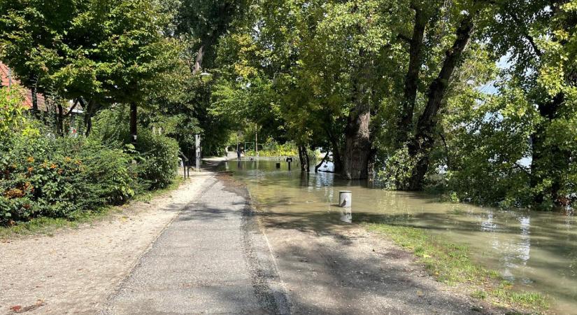 Már nyaldossa a Duna a Római-partot, nézze meg legfrissebb fotóinkat!