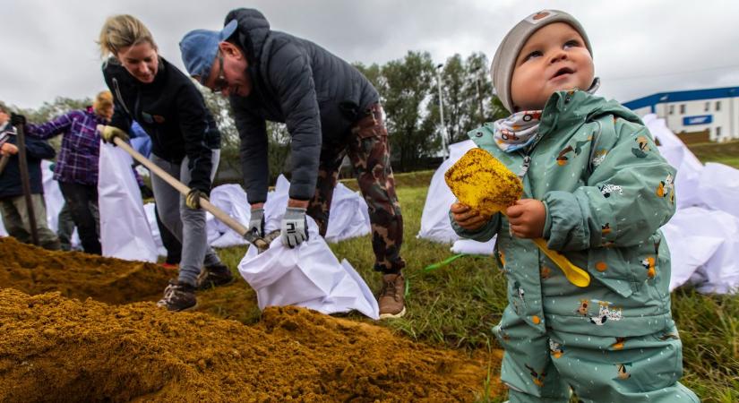 Árvíz: a legkisebbek is pakolják a homokzsákokat Gönyűn – Galéria