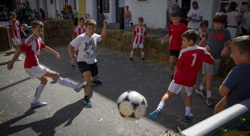 Ötven sportág mutatkozik be a sepsiszentgyörgyi Sportnapokon