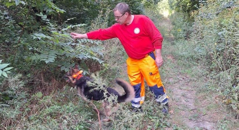 Holtan találták meg az eltűnt Danit, megrázó részletek derültek ki a tragédiáról