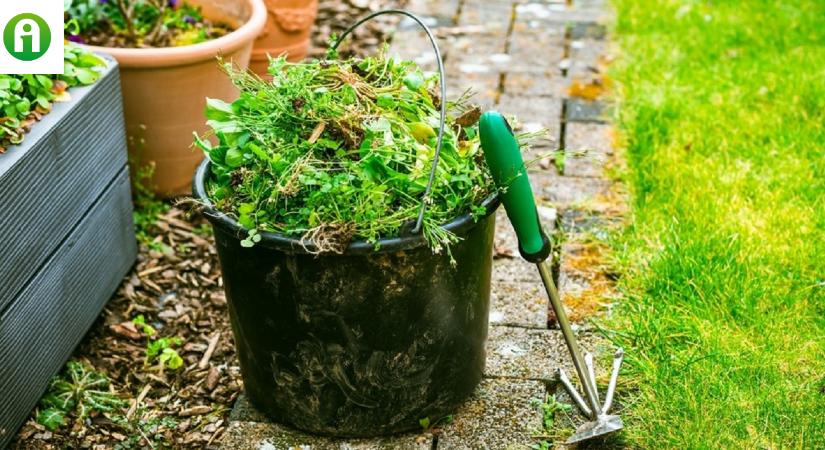 Unod a gyomokat? 4 tuti tippünk is van ellenük!