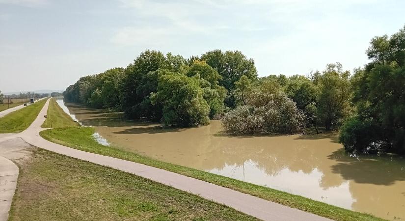 Izsánál nyugodtan várják a tetőzést, Nagykeszinél már elérték a legmagasabb vízszintet