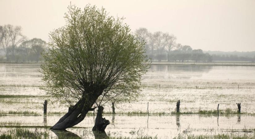 Árvíz: megnyitották a szükségtározót a Lajtánál, így Mosonmagyaróvár fellélegezhet