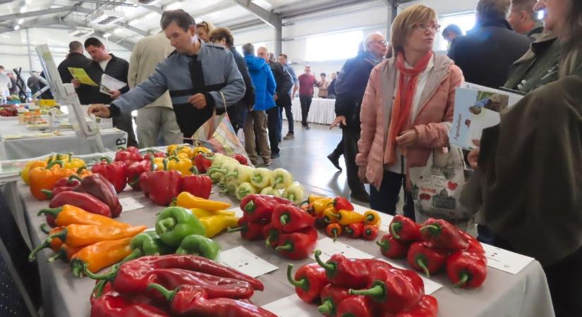 A paprika és a paradicsom is megszenvedte a forróságot – az uniós szabályok sem segítettek