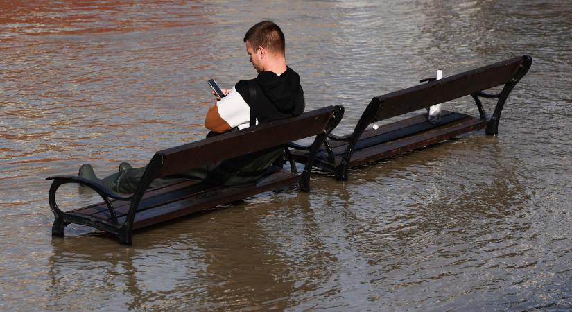 Honnan tudjuk, hogy mi a teendők katasztrófahelyzetben?