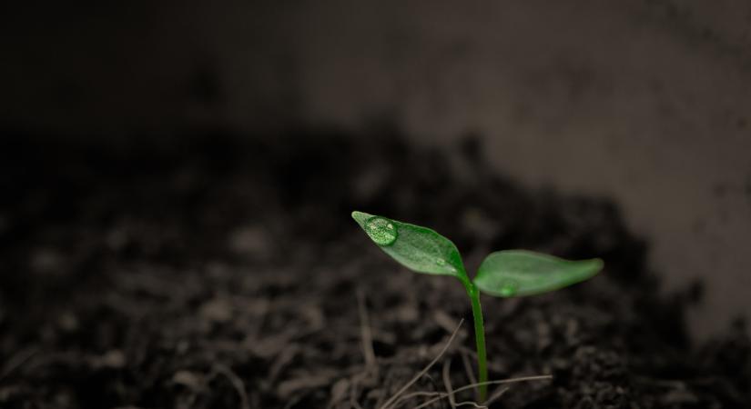 A Soil-X-Change gazdálkodói kérdőív már elérhető