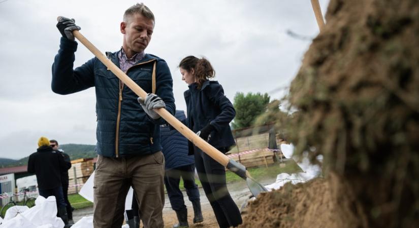 Magyar Péter Sulyoknak: Két palacsintasütés közben tanulmányozza az alaptörvényt