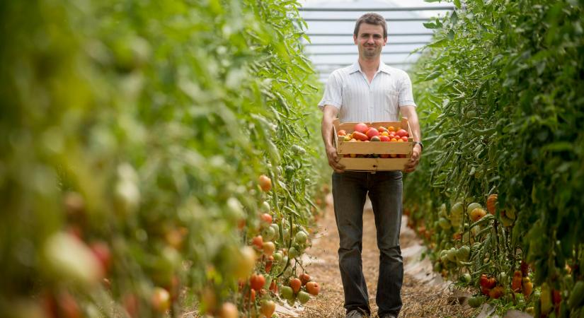 Már véleményezhető az „Ökológiai gazdálkodás támogatása” című felhívás