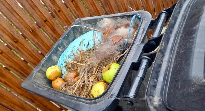 Nem viszik el a háromszékiek szemetét, ha növényi hulladékot raknak a kukákba