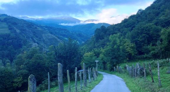 Fehér galamb, Carpe diem, Paulo eltűnik – az El Caminóról jelentjük