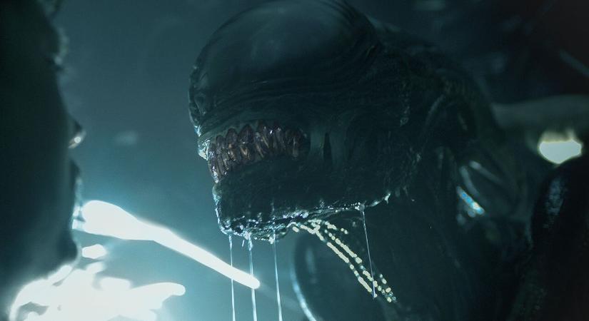 Az Alien: Paradiso nyaralni viszi a xenomorfot, és részben a rettegett idegen szemszögéből fogjuk megismerni a cselekményét