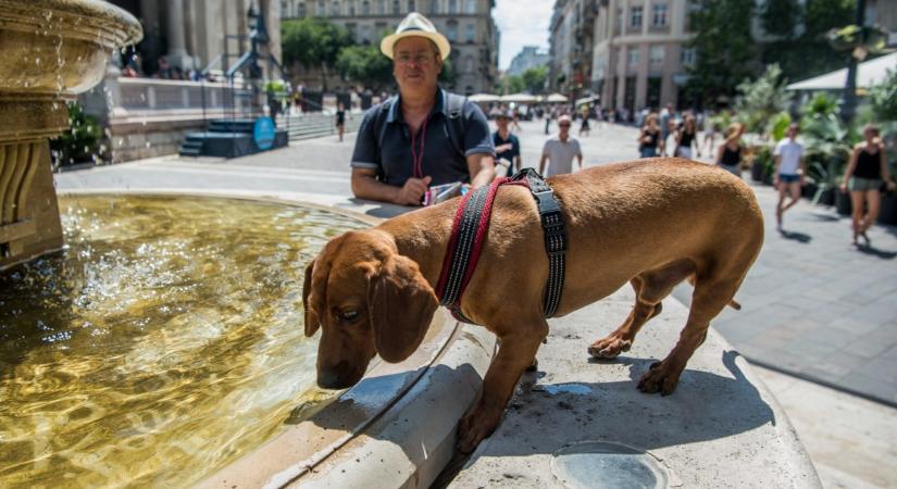 Erre már nem számítottunk: újabb fordulatot tartogat a hétvége időjárása