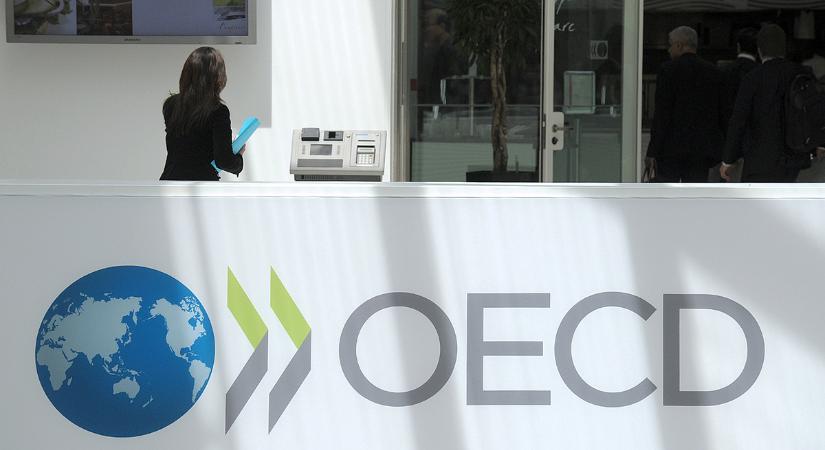 Ítéletet mondott az OECD: nagy bajban leszünk, ha Orbánék nem változtatnak