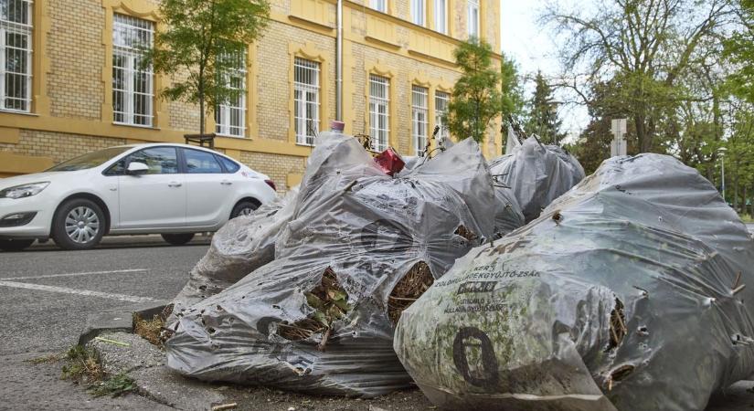 Visszaváltó automaták: kívül tágasabb! – már van zöld zsák elég