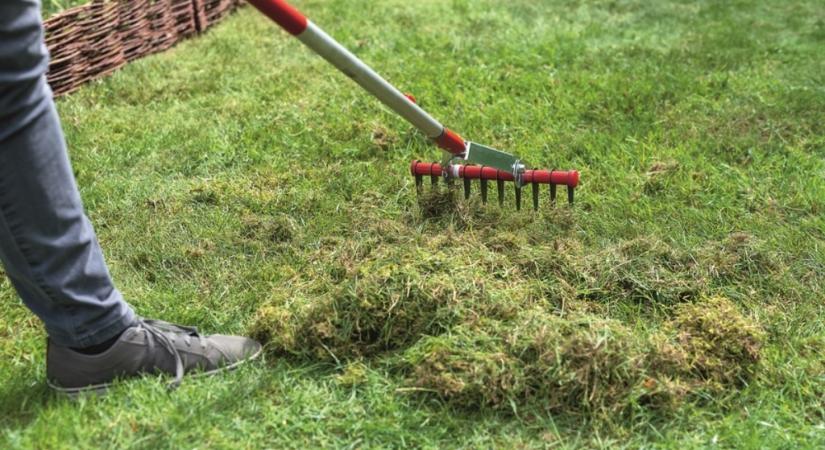 Így kell ápolni ősszel a gyepet: 7 feladat, amit mindenképpen el kell végezni ilyenkor