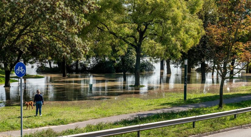 Képeken, hogy zajlik az árvízi védekezés Óbudán