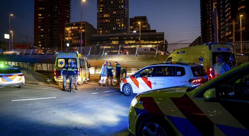 Halálos késelés Rotterdamban