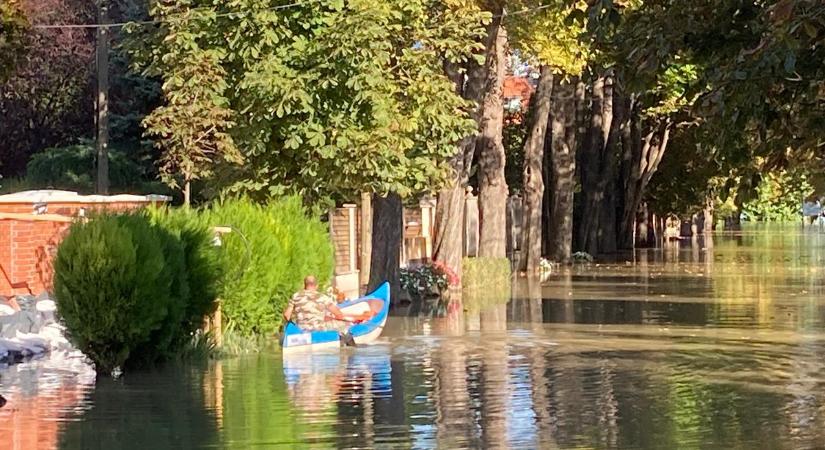 Szörnyű tragédia a Római-parton: egy kutya belefulladt a Dunába – A gazdáját, aki bement utána, alig tudták kihúzni