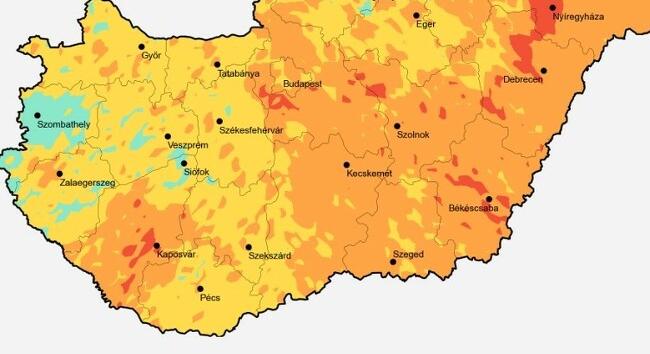 Egyes helyeken ismét magas szintre emelkedett a parlagfű pollenkoncentrációja