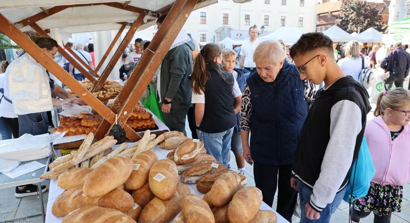 Kenyérfesztivál zajlik a Széchenyi téren