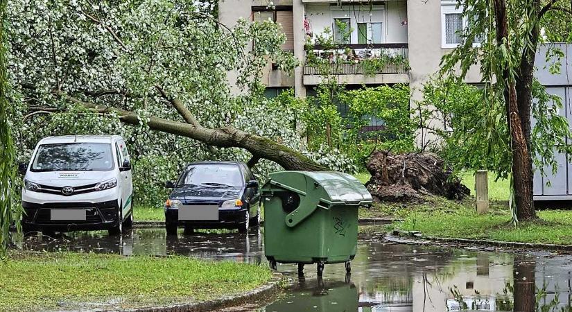 Mabisz: jelentősen növelik a szeptemberi viharkárok a biztosítók kifizetéseit