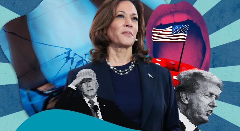 Valóban egy veszélyes üvegszikla peremén áll Kamala Harris?