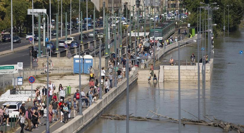 Súlyos fertőzésveszély fenyegeti az áradó Dunában fürdőket, akár vérhast is összeszedhetnek