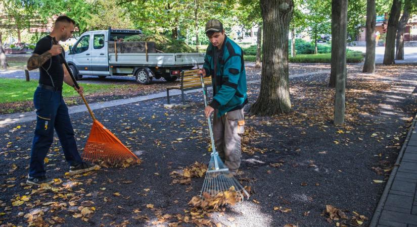 Előkerültek a seprűk és a kertészkesztyűk, megtisztítják a debreceni Nagyerdőt – fotókkal