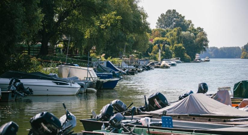 A Tiszánál és a Keleti-főcsatornánál is tombol a vénasszonyok nyara – fotókkal