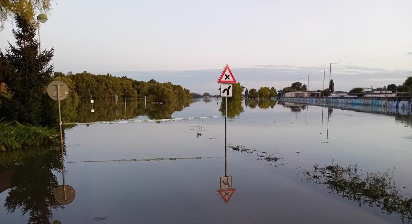 Fertőtlenítéstől a szúnyogirtásig: nagyban zajlik az árvíz utáni takarítómunka Komáromban