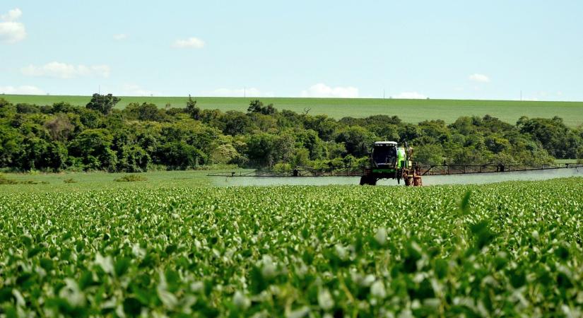 Argentína 2019 óta először importál szóját az Egyesült Államokból