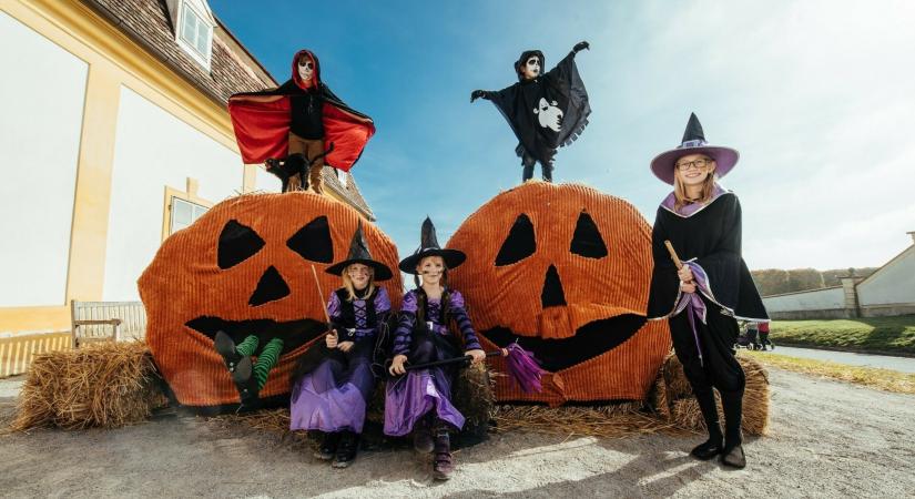 Aranyló ősz és borzongató Halloween a Schloss Hof kastélyban