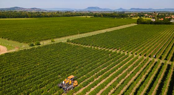 Az EU-s agrártámogatásokat is jogállamisághoz kötnék a svédek és a dánok