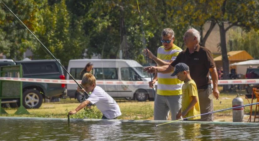 Sikeresnek és hasznosnak értékelték az idén újjáélesztett SzeHoVát