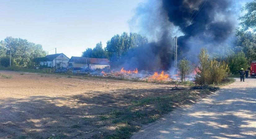 Húzós nyaruk volt a mórahalmi tűzoltóknak